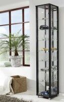 Glas Vitrine schmal in 7 Farben